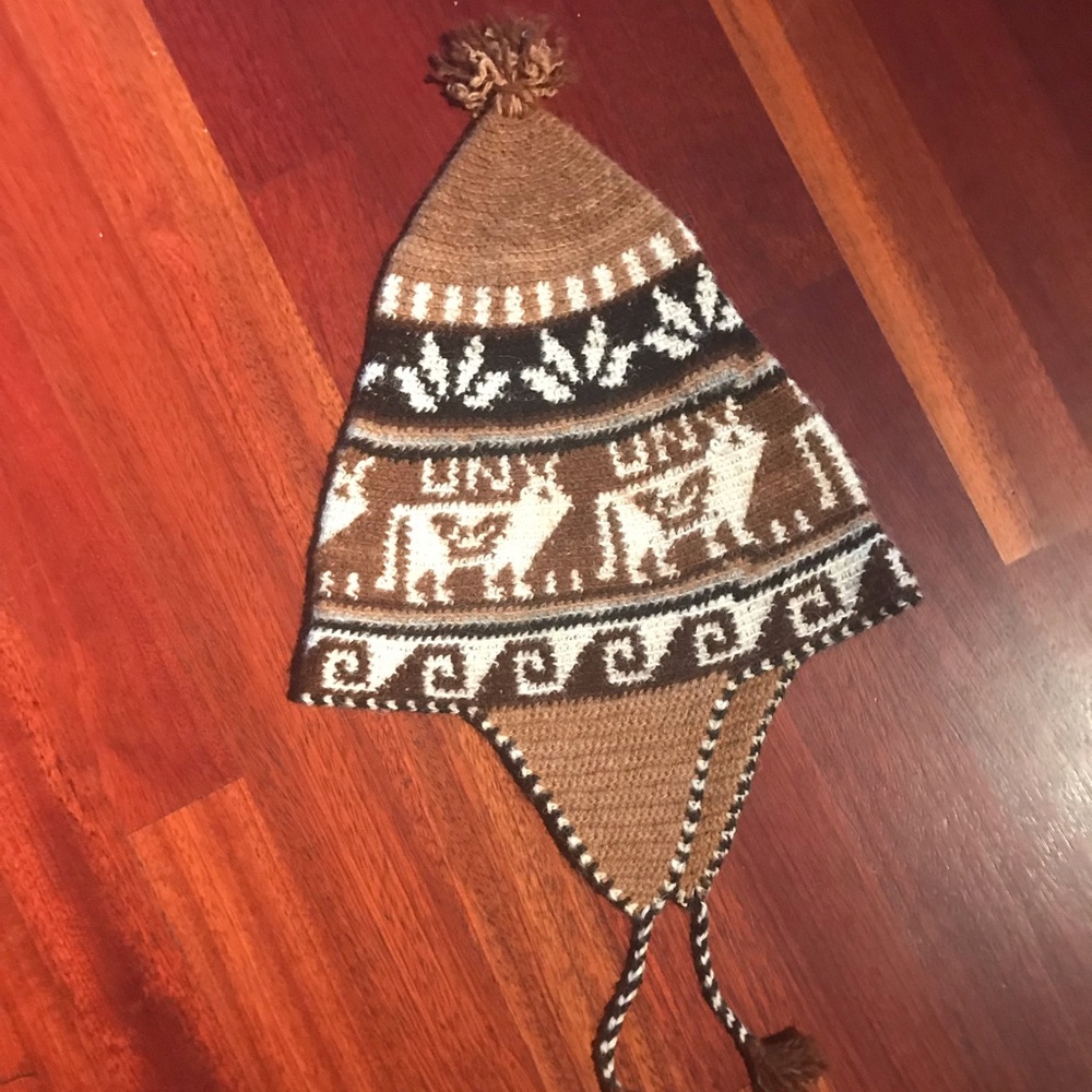 Winter Hat - image 1